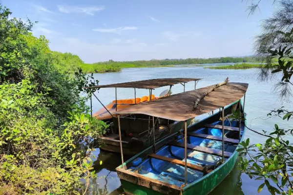 Mangrove-Island-Boating-2-1