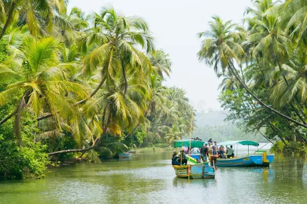 Mangrove-Island-Boating-4-1
