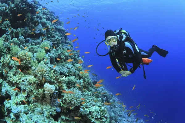 Scuba-Diving-Murudeshwar-1