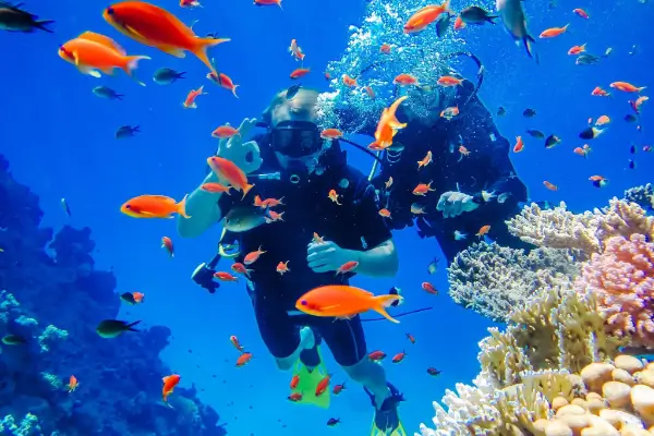 Scuba-Diving-Murudeshwar-2