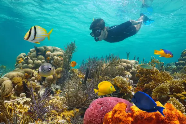 Scuba-Diving-Murudeshwar-3