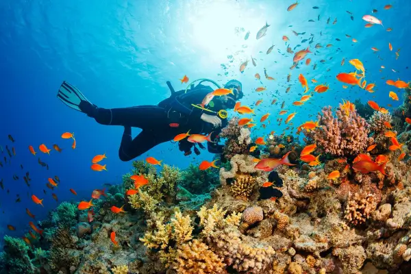 Scuba-Diving-Murudeshwar-4